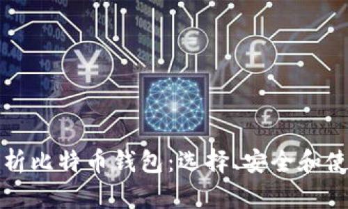 全面解析比特币钱包：选择、安全和使用技巧