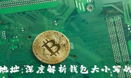   
比特币地址：深度解析钱包大小写的重要性