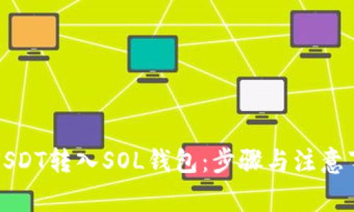 如何将USDT转入SOL钱包：步骤与注意事项详解