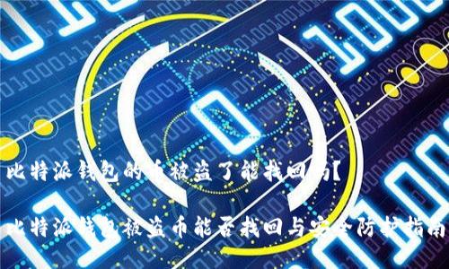 比特派钱包的币被盗了能找回吗？

比特派钱包被盗币能否找回与安全防护指南