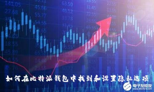 如何在比特派钱包中找到和设置隐私选项