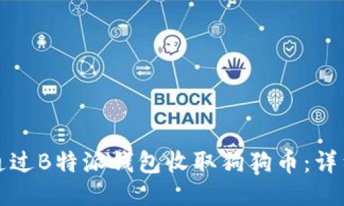 如何通过B特派钱包收取狗狗币：详细指南