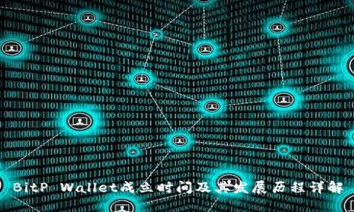 BitP Wallet成立时间及其发展历程详解