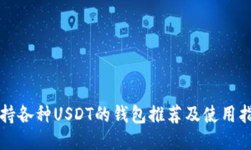 支持各种USDT的钱包推荐及使用指南