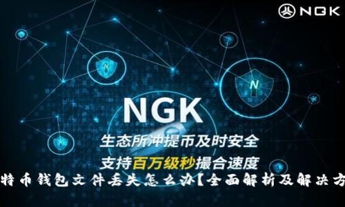 比特币钱包文件丢失怎么办？全面解析及解决方案