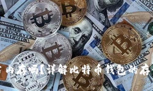 比特币钱包占内存吗？详解比特币钱包的存储与内存需求