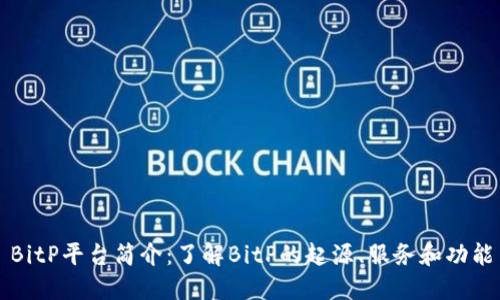 BitP平台简介：了解BitP的起源、服务和功能