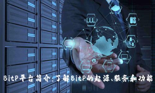 BitP平台简介：了解BitP的起源、服务和功能