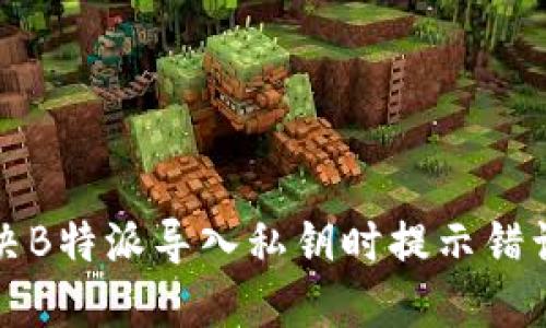 如何解决B特派导入私钥时提示错误的问题