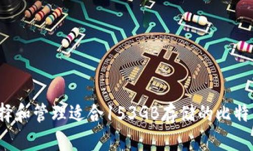 如何选择和管理适合153GB存储的比特币钱包？