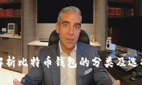 全面解析比特币钱包的分类及选择指南