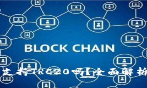 比特派钱包支持TRC20吗？全面解析与使用指导