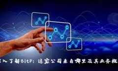 深入了解BitP: 这家公司来自哪里及其业务概览