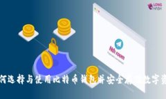 如何选择与使用比特币钱包并安全存储数字资产