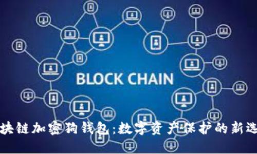 区块链加密狗钱包：数字资产保护的新选择