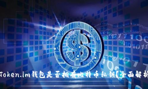 Token.im钱包是否拥有比特币私钥？全面解析
