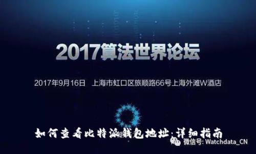 如何查看比特派钱包地址：详细指南