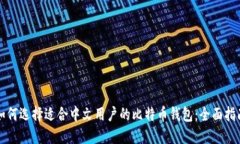 如何选择适合中文用户的比特币钱包：全面指南