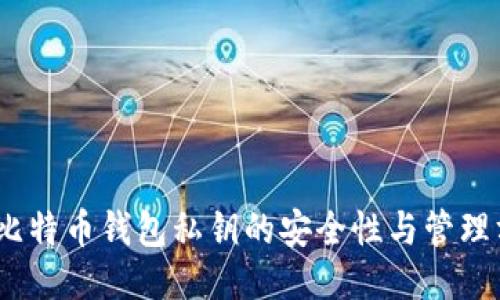 2012年比特币钱包私钥的安全性与管理方法探讨