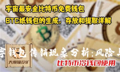 区块链数字钱包传销现象分析：风险与应对策略