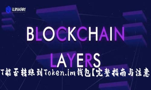 USDT能否转账到Token.im钱包？完整指南与注意事项