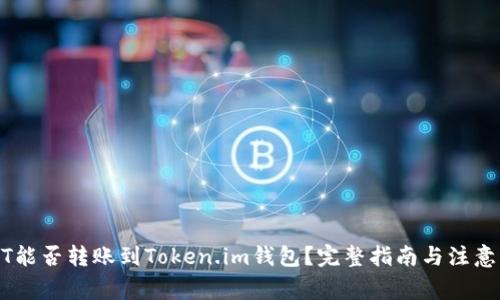 USDT能否转账到Token.im钱包？完整指南与注意事项