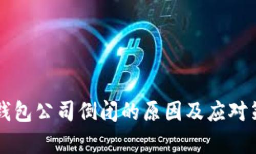 虚拟币钱包公司倒闭的原因及应对策略分析