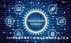  :  BitP钱包真的爆雷了吗？揭秘真实情况与用户反