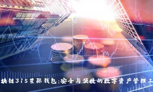 区块链315星际钱包：安全与便捷的数字资产管理工具