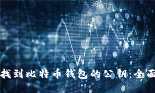 如何找到比特币钱包的公钥：全面指南