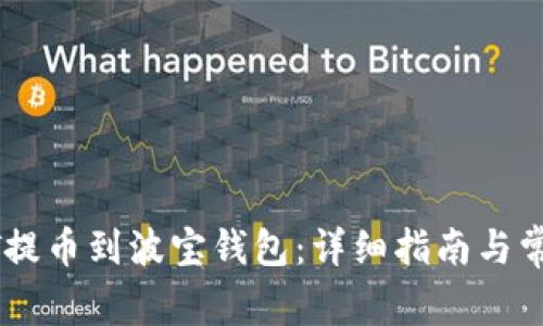 如何将USDT提币到波宝钱包：详细指南与常见问题解答