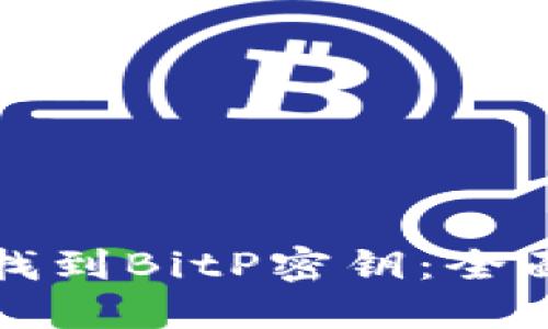如何找到BitP密钥：全面指南