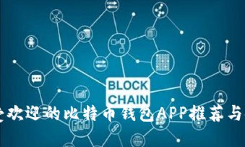 国内最受欢迎的比特币钱包APP推荐与使用指南