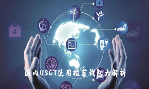 国内USDT使用推荐钱包大解析