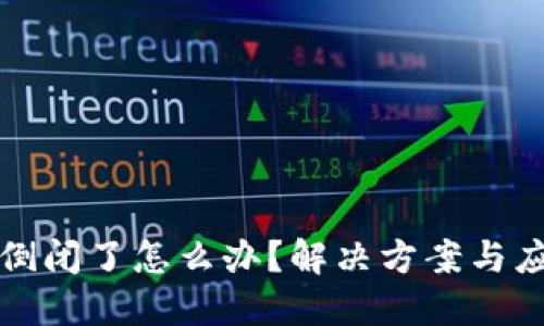 比特币钱包倒闭了怎么办？解决方案与应对措施详解