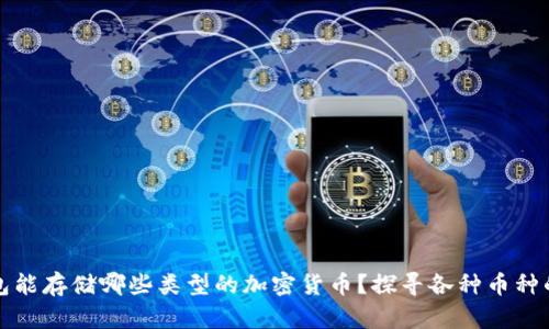 区块链钱包能存储哪些类型的加密货币？探寻各种币种的储存选择