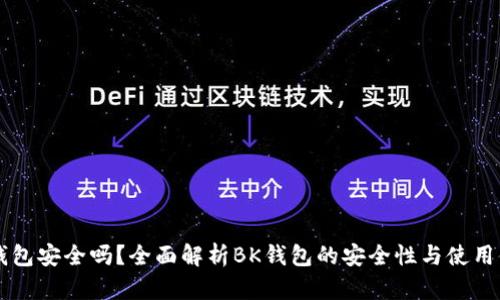 BK钱包安全吗？全面解析BK钱包的安全性与使用体验