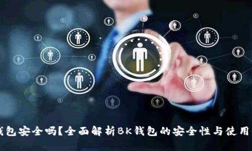 BK钱包安全吗？全面解析BK钱包的安全性与使用体验