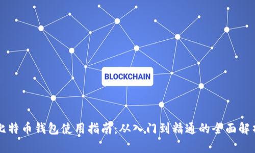比特币钱包使用指南：从入门到精通的全面解析