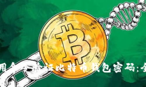 如何使用命令验证比特币钱包密码：全面指南