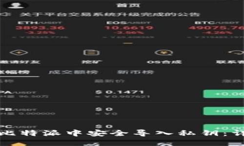 如何在比特派中安全导入私钥：详细指南