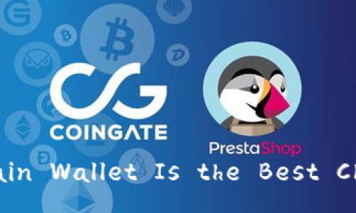 Which Blockchain Wallet Is the Best Choice for You?