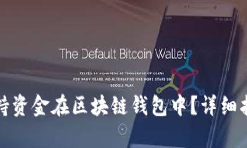 如何安全地保持资金在区块链钱包中？详细指南与实践建议