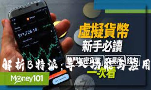 全面解析B特派：导入功能与应用指南