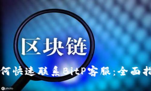如何快速联系BitP客服：全面指南