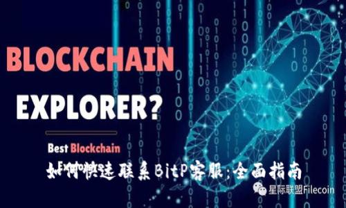 如何快速联系BitP客服：全面指南