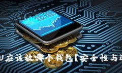主体  USDT的U应该放哪个钱包？安全性与选择指南