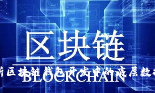 全面解析区块链钱包开发中的底层数据库技术