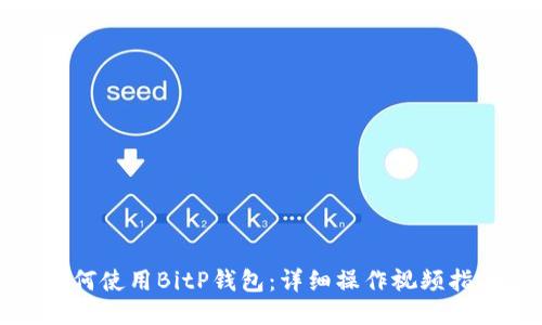 如何使用BitP钱包：详细操作视频指南