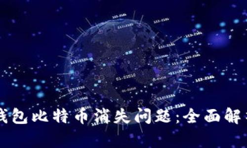 如何解决im钱包比特币消失问题：全面解析与解决方案